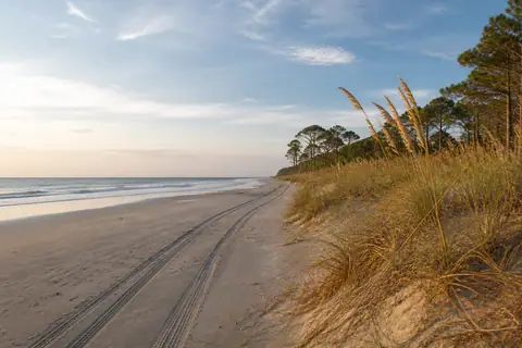 Quiet Hilton Head beach and sea oats in early morning light