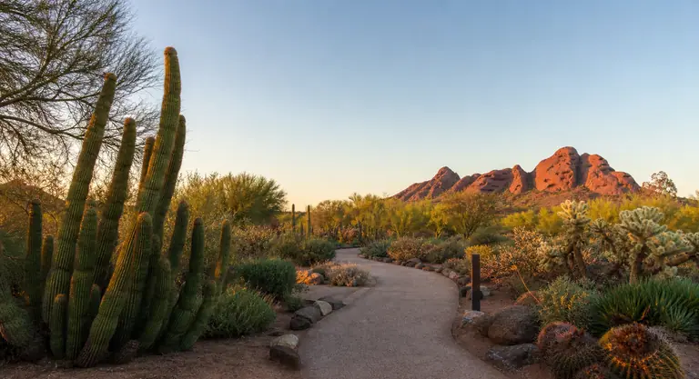 Photoreal editorial image for How Many Days Do You Need in Phoenix, Arizona?, inspired by Phoenix