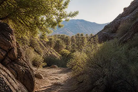 Photoreal editorial image for How to Plan Palm Springs Without Losing the Day to Heat, inspired by Palm Springs