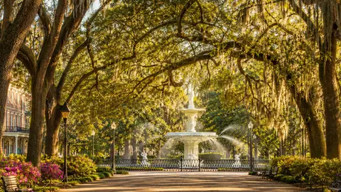 Photoreal editorial image for What Part of Savannah Should Shape Your Stay?, inspired by Savannah