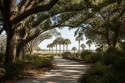 Hilton Head Island resort path through live oaks near the beach