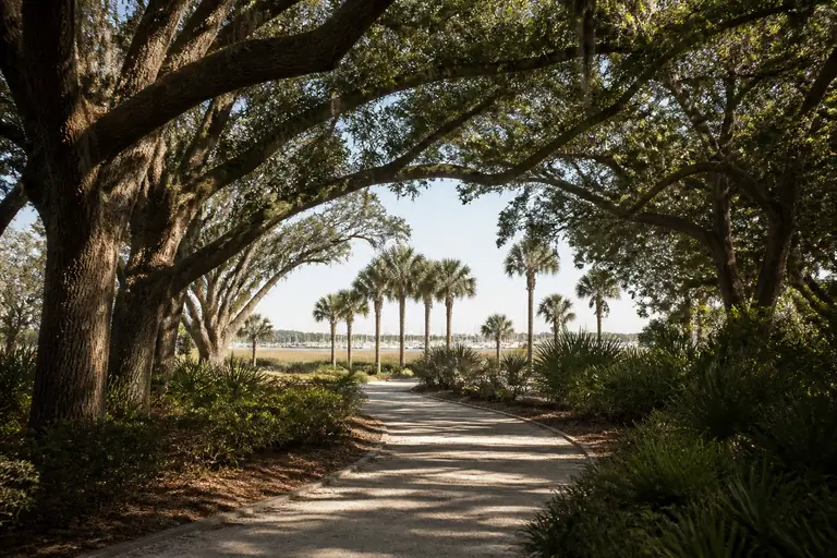 Hilton Head Island resort path through live oaks near the beach