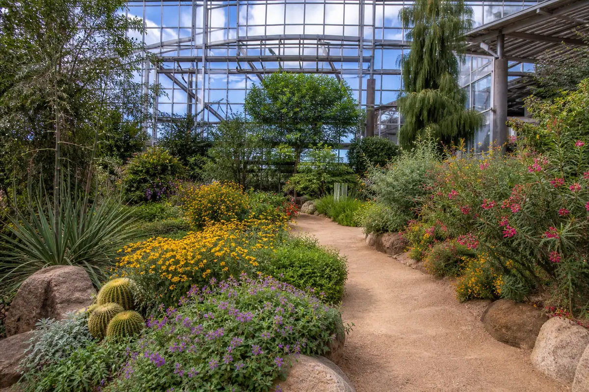 Photoreal travel-editorial view of ABQ BioPark Botanic Garden in Albuquerque, New Mexico