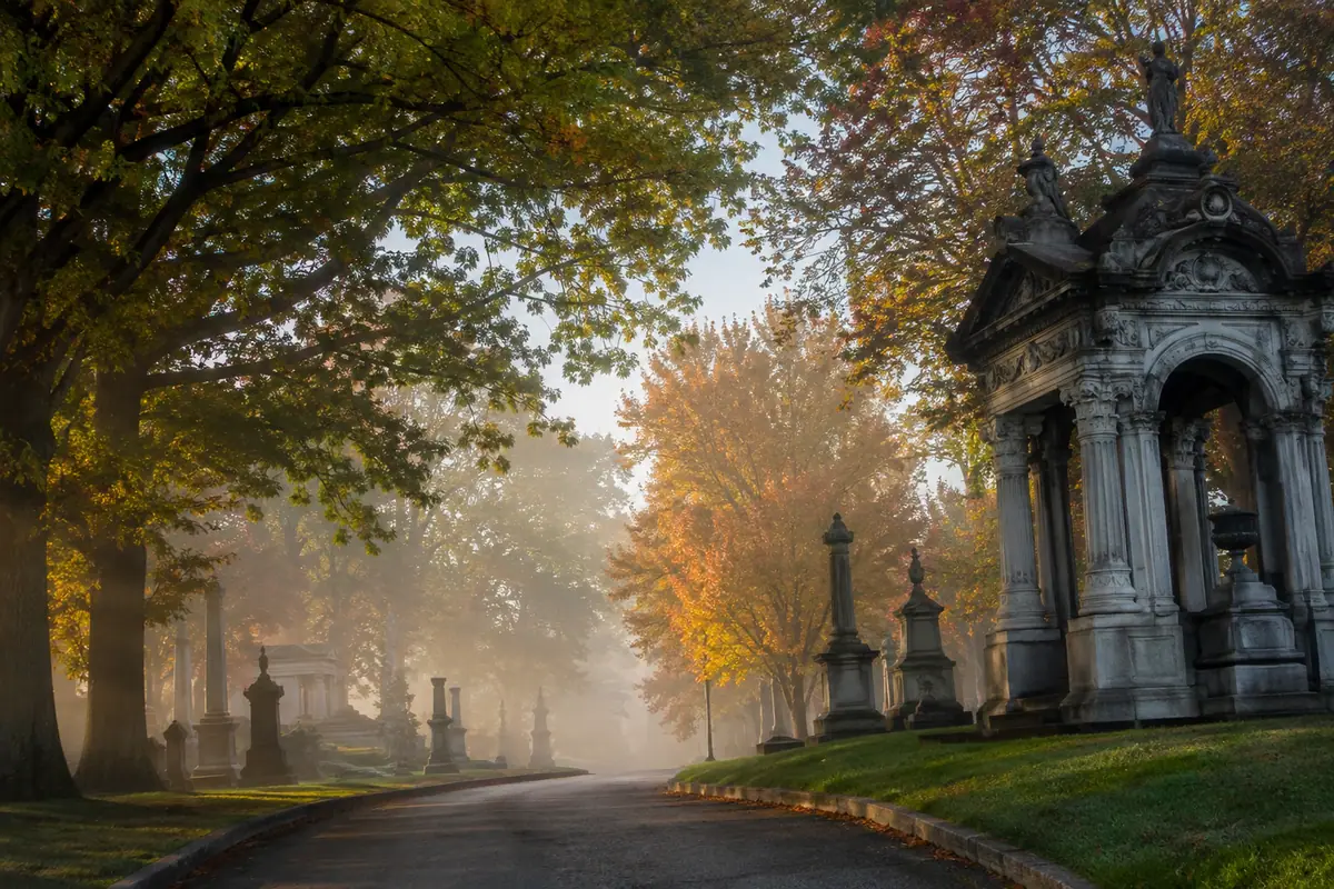 Photoreal tree-lined avenue at Forest Lawn Cemetery in Buffalo