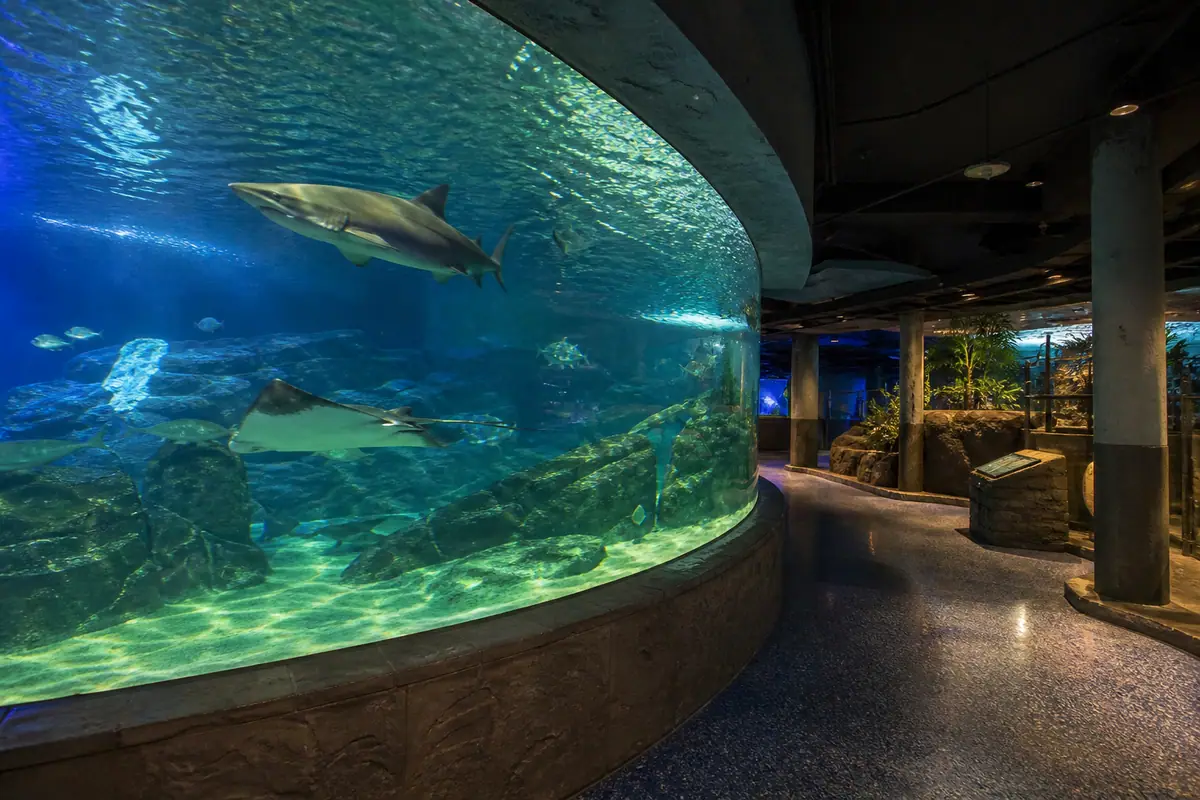Photoreal view of Newport Aquarium in Cincinnati