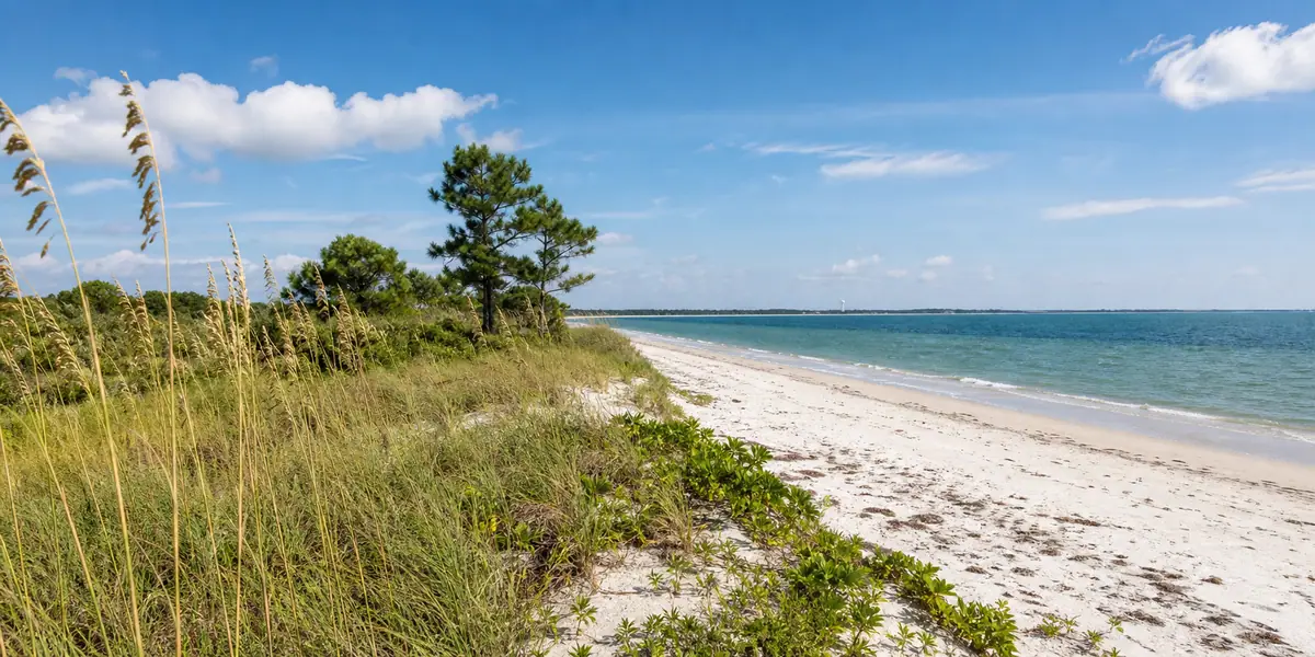 Photoreal Honeymoon Island State Park shoreline with dunes, coastal pines, and calm Gulf water near Clearwater