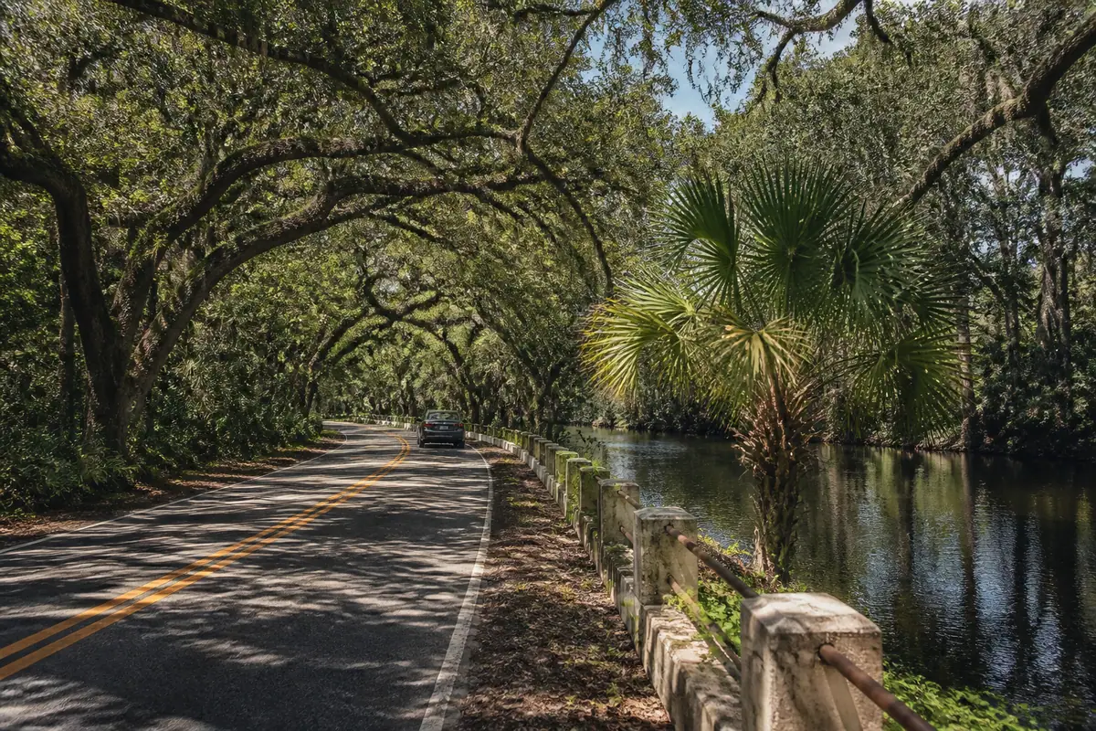Photoreal travel-editorial view of Ormond Scenic Loop & Trail in Daytona Beach, Florida