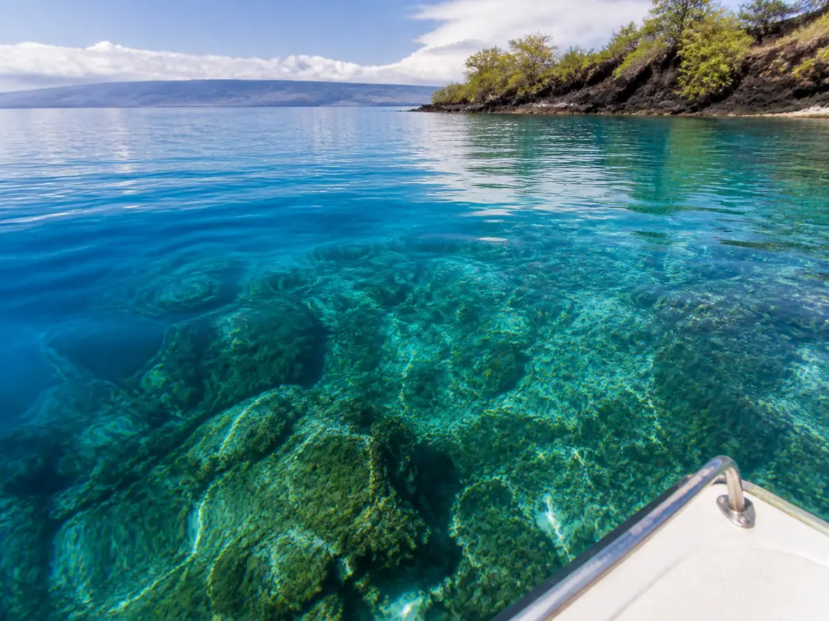 Kealakekua Bay Snorkel Day on Hawaiʻi Island