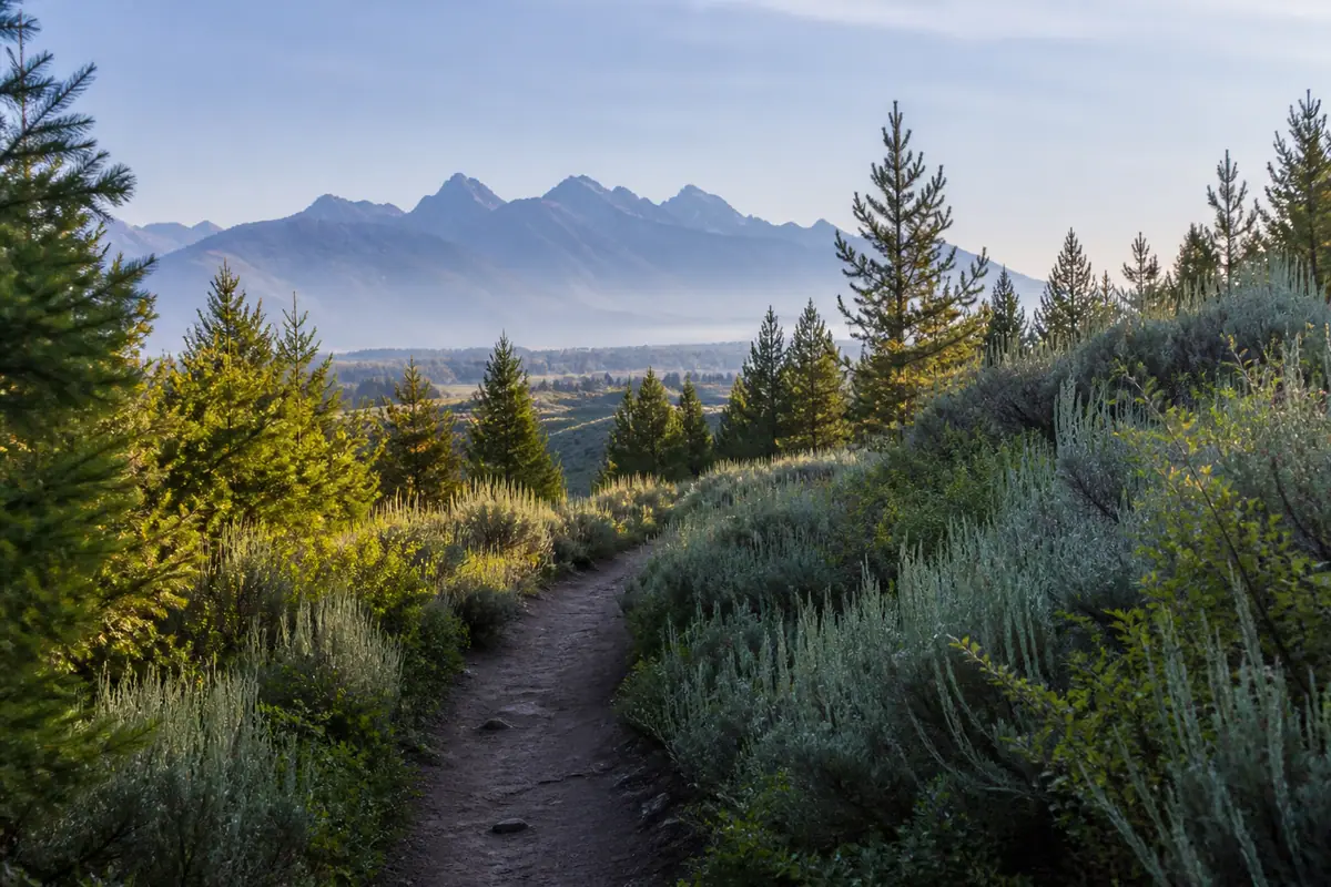 Photorealistic travel-editorial view of Cache Creek Trail in Jackson, Wyoming
