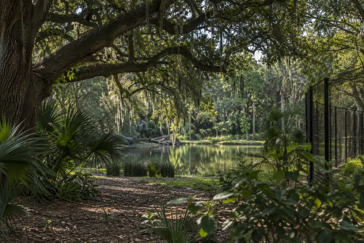 Photoreal travel-editorial view of Catty Shack Ranch Wildlife Sanctuary in Jacksonville, Florida