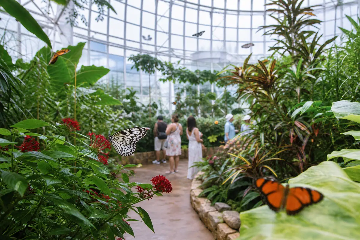 Key West Butterfly and Nature Conservatory