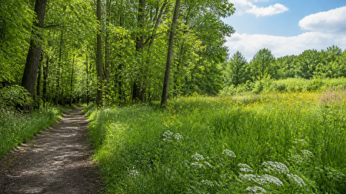 Photoreal travel-editorial view of University of Wisconsin Arboretum in Madison, Wisconsin