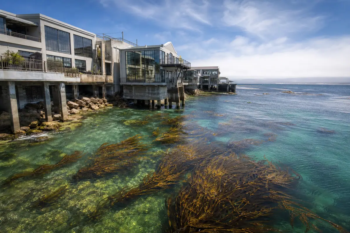 Photoreal Monterey scene at Monterey Bay Aquarium