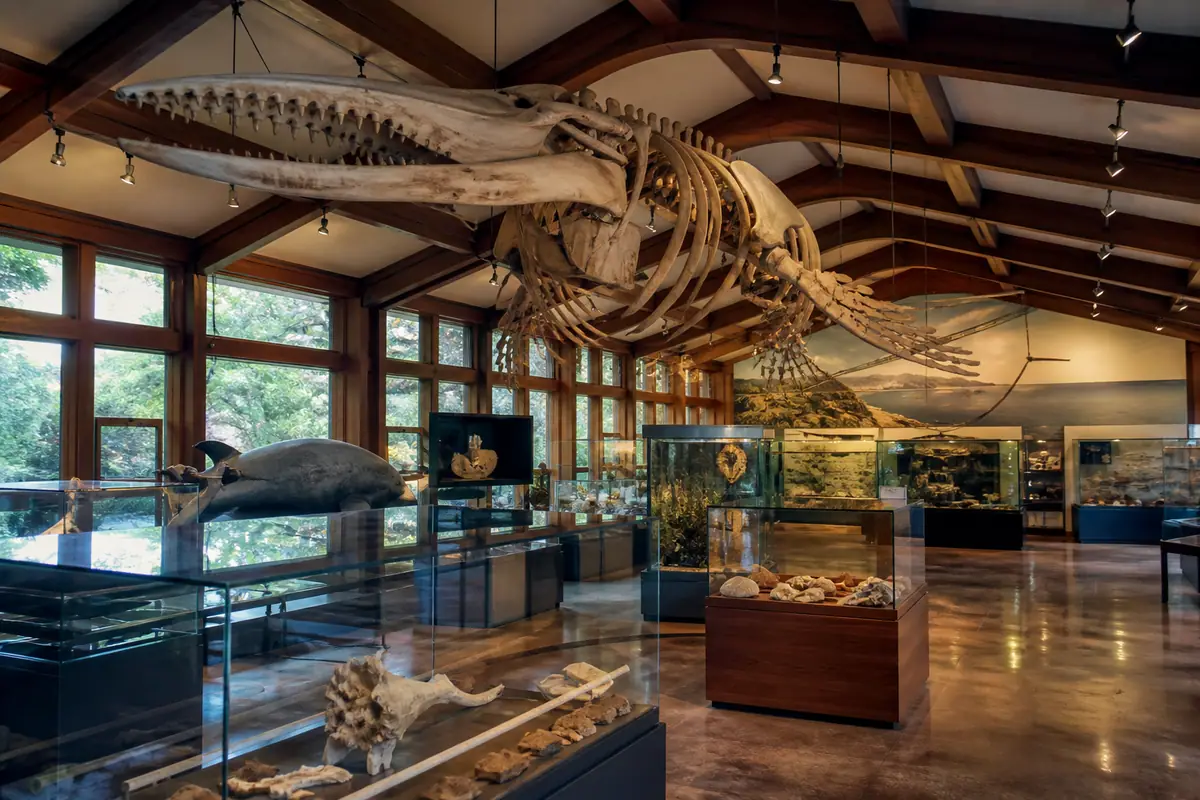 Photoreal Monterey scene at Pacific Grove Museum of Natural History
