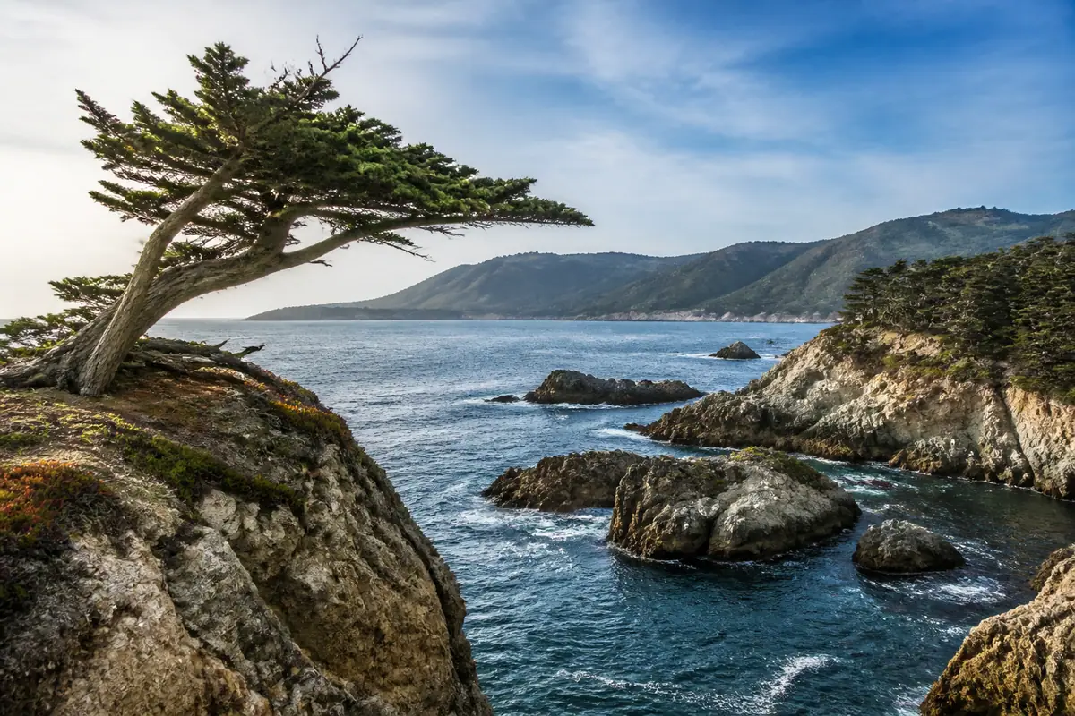 Photoreal Monterey scene at Point Lobos State Natural Reserve