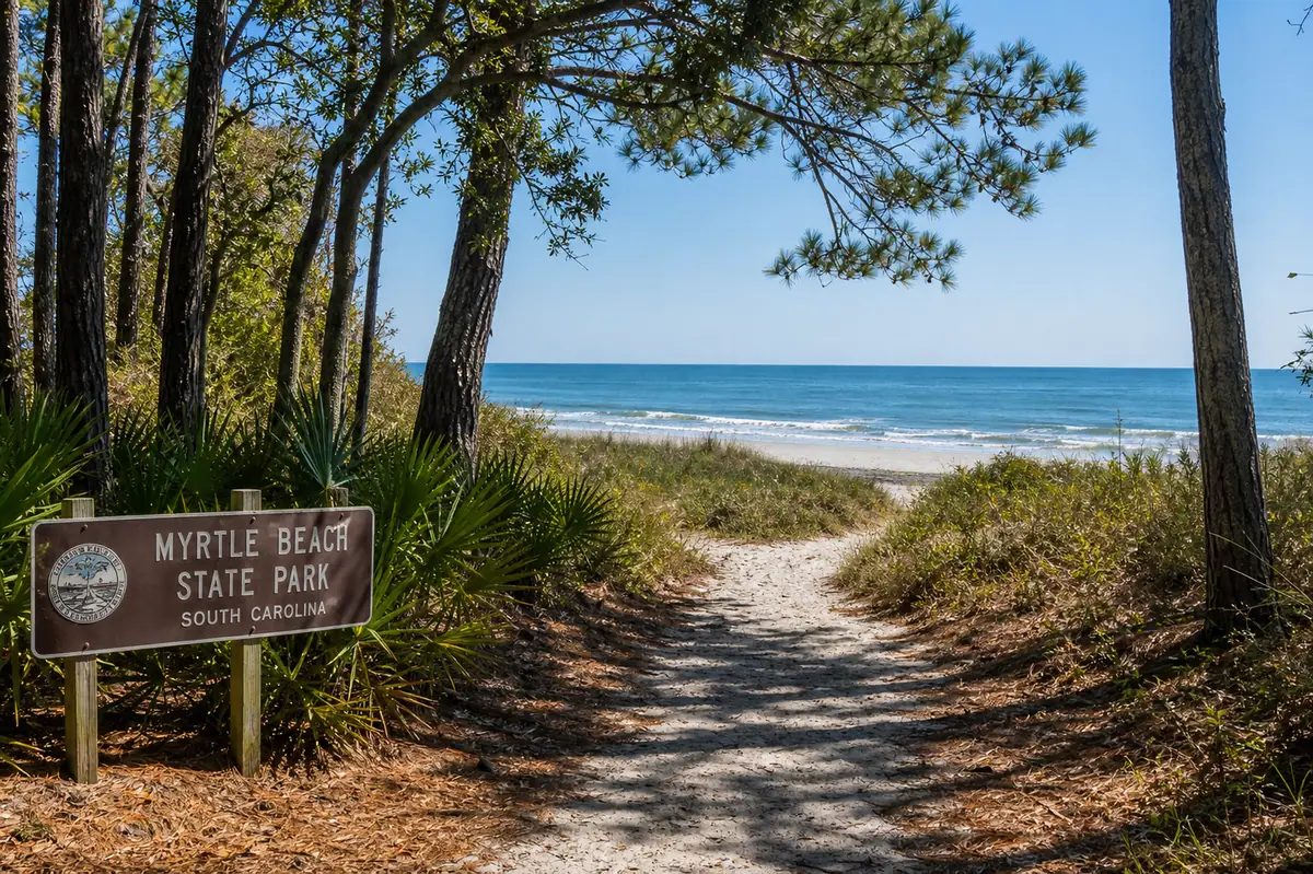 Photoreal Myrtle Beach State Park dunes and shoreline