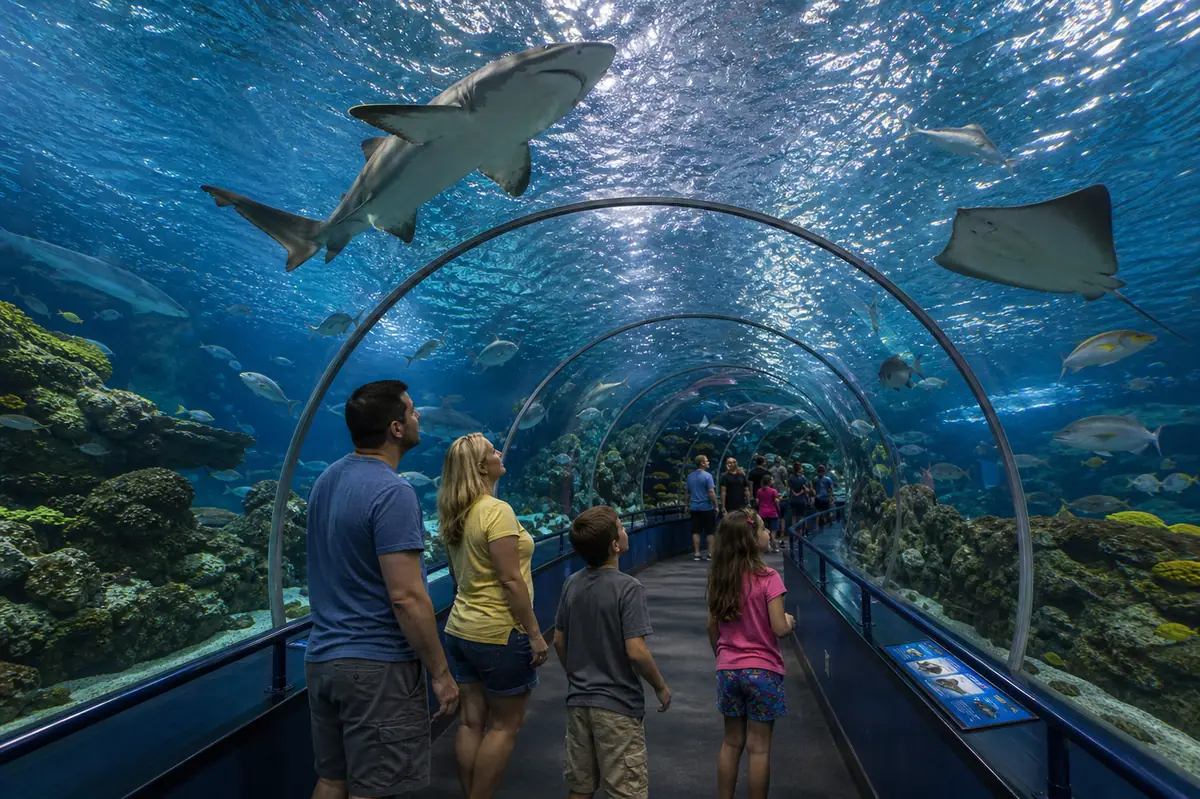 Photoreal aquarium tunnel scene representing Ripley's Aquarium of Myrtle Beach