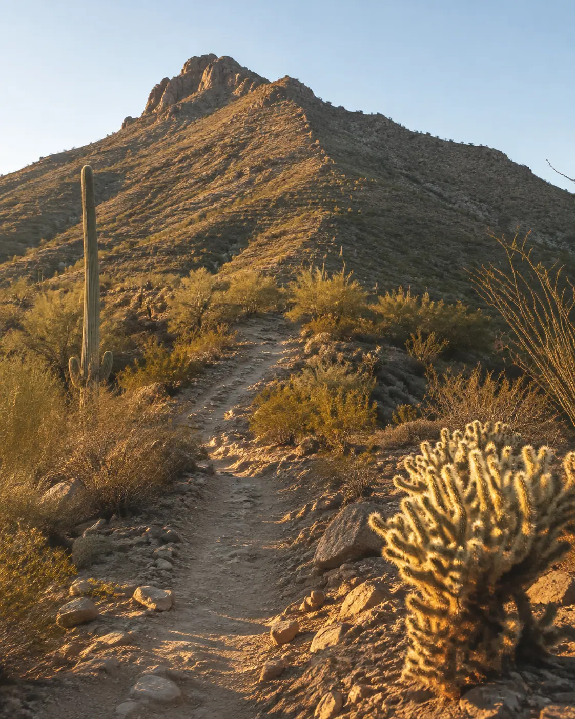 Photoreal Sonoran Desert trail at Piestewa Peak in Phoenix