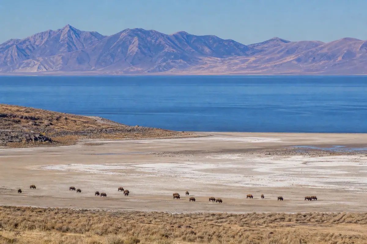 Photoreal editorial view of Antelope Island State Park in Salt Lake City