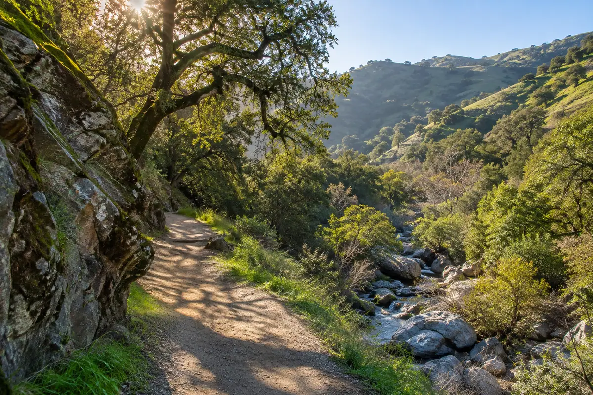 Photoreal travel-editorial view of Alum Rock Park in San Jose, California