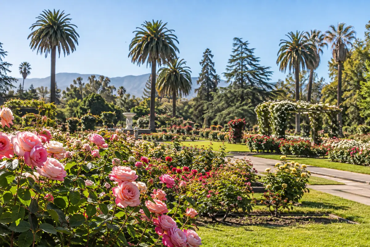 Photoreal travel-editorial view of Municipal Rose Garden in San Jose, California