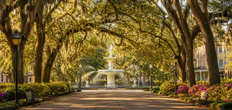 Savannah destination guide