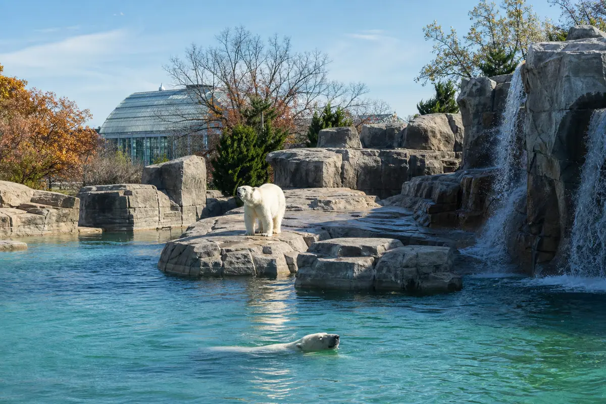 Photoreal travel-editorial view of Saint Louis Zoo in St. Louis, Missouri