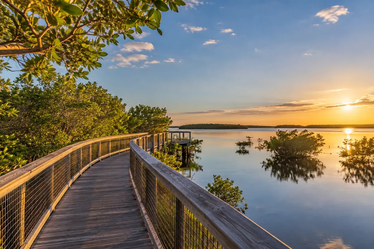 Photoreal travel-editorial view of Weedon Island Preserve in St. Petersburg, Florida