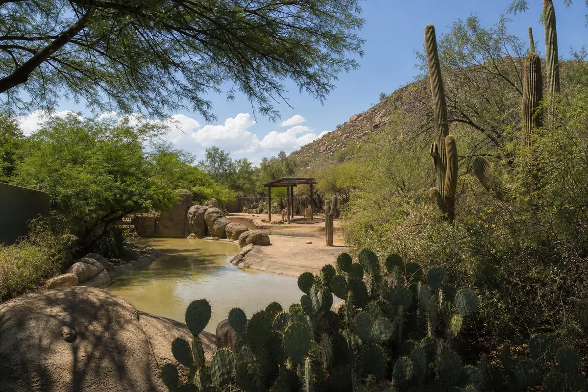 Photoreal travel-editorial view of Reid Park Zoo in Tucson, Arizona